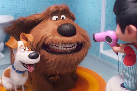 So settle into a family movie night that doesn't feel like a rerun. 15 Best Kids Movies On Netflix Family Movies To Stream 2020
