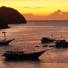 Komodo Tour A Memorable Trip To Experience Hello Flores In 2020 Island Tour Trip Tours