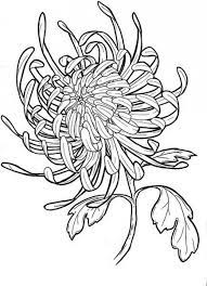 Tattoo Heart Flower Shape 26 Ideas Flower Sketches Flower Drawing Chrysanthemum Tattoo