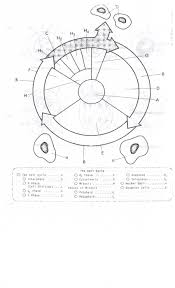 Cell Cycle Coloring Worksheet Cell Cycle Cells Worksheet Color Worksheets