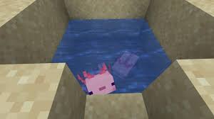 Axolotls are passive toward players and can be attached to leads. How To Breed An Axolotl In Minecraft Pro Game Guides