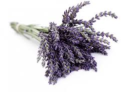 Resultado de imagen de tela apolillada