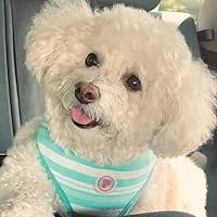 Here Comes Menopause!: Finding the Funny in Hot Flashes, Mood Swings and  the Mystery Chin Hairs by Angeliquea Passaglia