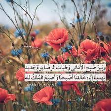 pin by aammoonn on كلمات عجيبه morning images instagram plants