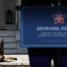 Weitere ideen zu hunde haus, hunde, hund zubehör. Us Wahl Major Und Champ Mit Zwei Hunden Belebt Joe Biden Eine Alte Tradition Wieder Panorama