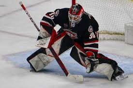 Dancing bear full video Feel free to use this!