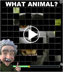 100 kids quiz simple general knowledge (gk) with questions & answers for kids, students. The Image Quiz Animals Playpager Com
