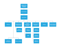 Example Of Organogram Chart Bedowntowndaytona Com