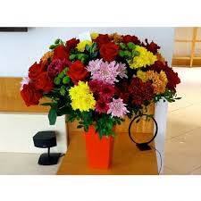 This is the newest place to search, delivering top results from across the web. Heaven Scent Flowers Specs