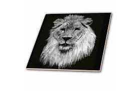Black lion claim ticket scraps were introduced with the cutthroat politics release. 3drose African Lion Full Head Painting In Black And White Ceramic Tile 10cm Matt Blatt
