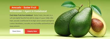 We did not find results for: Jr Fruits Avocado Tree Seedlings Posts Facebook