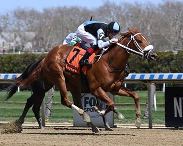 Galaxina - Horse Profile - BloodHorse