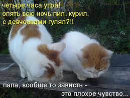 котоматрица / смешные картинки и другие приколы: комиксы, гиф анимация,  видео, лучший интеллектуальный юмор.