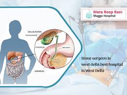 Difference Between Kidney And Gall Bladder Stones Maggo Hospital