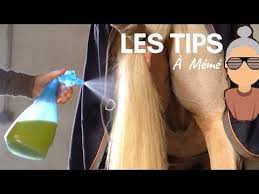 Epingle Sur Astuce Equestre