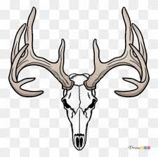 A head and a muzzle. Free Png Deer Head Clip Art Download Pinclipart