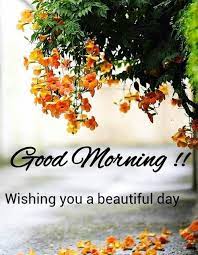 Our images of top 20 good morning quotes are liberated from cost images so you can share them on whatsapp, facebook and others and express your adoration. Good Morning Images For Whatsapp Good Morning Flowers Gif Good Morning Images Very Good Morning Images