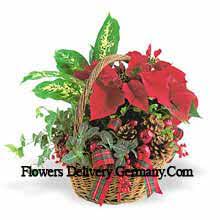 Making gifting quick & easy. Send Christmas Flowers Gourmet Gift Baskets And Christmas Hampers To Germany