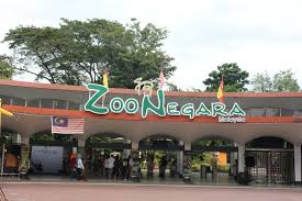 National zoo zoo negara tourism selangor tourism selangor. Travelog Zoo Negara Malaysia Ticket Travelog