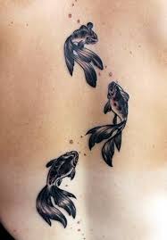 Check spelling or type a new query. Tattoos Pisces Should Get Novocom Top