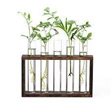 Premium features unlocked disabled / removed unwanted permissions + receivers and services all ads and services calls from activity removed no forced update trakt works opensubtitles work vpn. Buying Guide Xxxflower Plant Terrarium With Wooden Stand Air Planter Bul