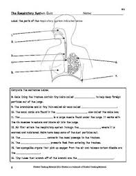 Respiration The Respiratory System Facts Color Worksheet Quiz Respiratory System Teaching Body Systems Human Respiratory System