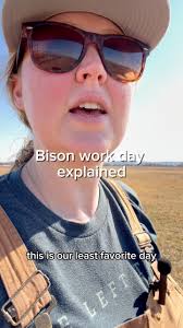 Bison work day explained: The follow-up to the day we wish we could skip…  👀, Here’s a closer look at what actually happens when we work the bison —  and why every step matters for their health, safety, ...