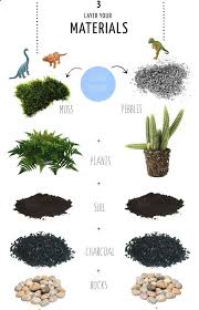 How To Make A Terrarium In 4 Steps Pin Now And Read Later Repinned By Www Craftproquo Com Plants House Plants How To Make Terrariums Succulent Terrarium