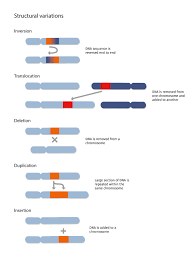 Pin On Dna Base