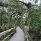 Ecowalk: Unique Preserves event image