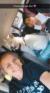 huskies and Malamutes in need of rescue and care