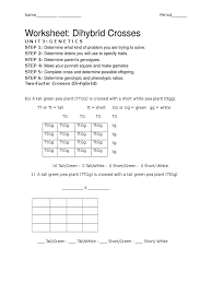 • dominate allele for tall plants = d recessive allele for dwarf plants = d dominate allele for purple flowers = w recessive allele for white flowers = w cross a homozygous dominate parent (ddww). Dihybrid Cross Ws Zygosity Dominance Genetics