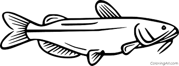 Download this adorable dog printable to delight your child. Channel Catfish Coloring Page Coloringall