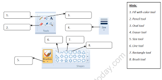 We will continue to add worksheets for all of. Cbse Class 1 Computer Science Drawing With A Computer Worksheet Practice Worksheet For Computers