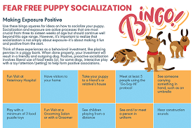 Sung also provide consultations to shelter and rescue organizations. Fear Free Shelter Program Educational Resources