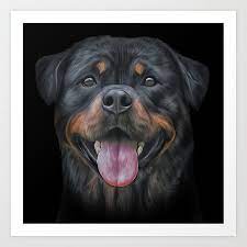 Pin By Yugi On Tatuagem Rottweiler Rottweiler Tattoo Dogs