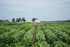 19th Annual Crops & Soils Field Day