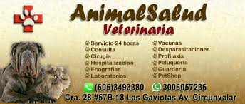 Animal Salud Veterinaria