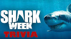 Sink your teeth into this easy summertime project that'll make your pool party more fun and memorable. Shark Week Trivia Op Plus