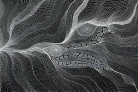 Sandhills And River Bed Country By Anna Petyarre Black And White Painting White Painting Aboriginal Art