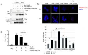 Most of playable content consists of jazz. Ijms November 2 2019 Browse Articles