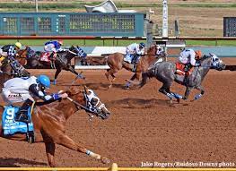 After ruth died and the railroad stopped runnin', the café shut down and everybody just scattered to the winds. Unbeaten Whistle Stop Cafe Finds Perfect Path To Victory In 1 Million Rainbow Futurity Horse Racing News Paulick Report