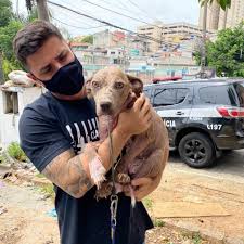 Quando decidiu prestar concurso para delegado da polícia civil enfrentou um sério problema de saúde que comprometia o funcionamento. Delegado Bruno Lima Resgata Cadelinha Que Passou Sua Vida Inteira Amarrada