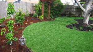 Birds provide natural pest and weed control, anyway. How To Attract Birds And Butterflies To Your Yard Angie S List