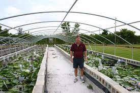 United states geological survey (usgs) invasive plants. About Us Florida Aquatic Nurseries