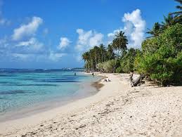 Praia da cordama, raposeira vila do bispo, algarve. Die Schonsten Strande Auf Guadeloupe