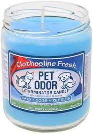 The citrus scent isn't overbearing but very pleasant. Amazon Com Pet Odor Exterminator Candle Clothesline Fresh Jar 13 Oz Home Kitchen