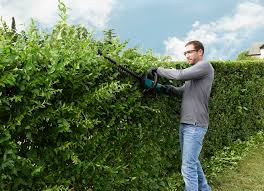Februar dürfen sie ihre hecken im garten schneiden. Wann Und Wie Du Richtig Die Hecke Schneidest Diy Academy