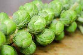 In warm areas they are likely to be infested with aphids pick formed sprouts from the bottom of the stems leaving the plant growing. Growing Brussels Sprouts Planting Growing And Harvesting Brussels Sprouts The Old Farmer S Almanac
