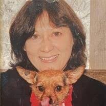 Sue Ann Meier Obituary